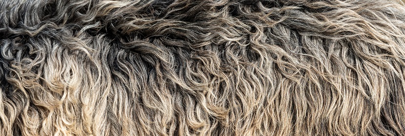 ROHS檢測產(chǎn)品范圍和ROHS需要準(zhǔn)備的資料?ROHS檢測認(rèn)證是什么