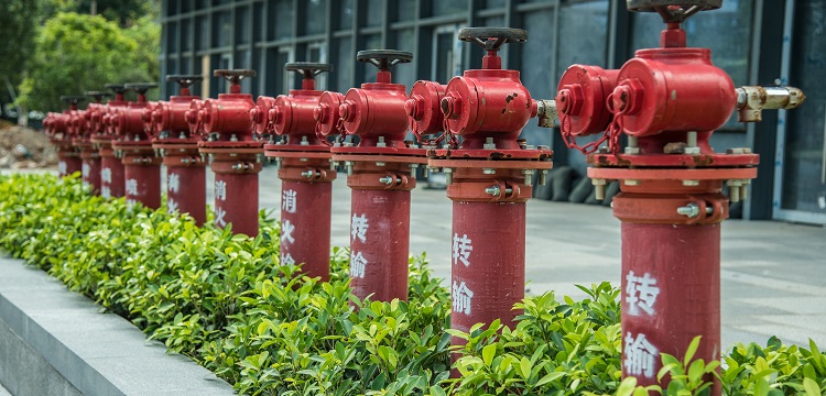 ?化妝品功效評價的現狀和發展