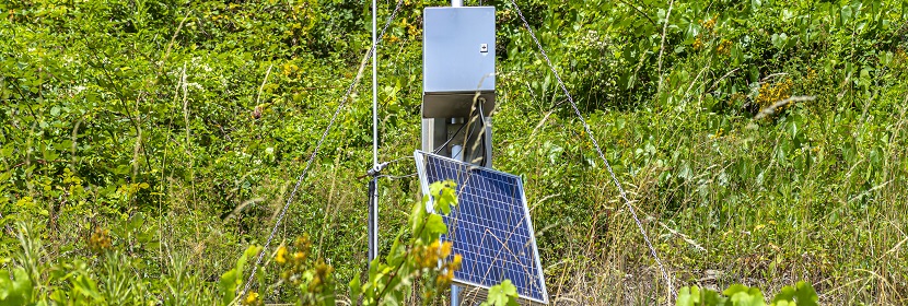 城市供水及飲用水中微生物如何快速檢測(cè) 這幾個(gè)單位的對(duì)比給出答案！?微生物高分文章必備分析LEfSe?健明迪