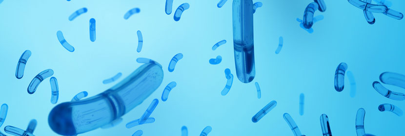 防霉涂料檢測(cè)