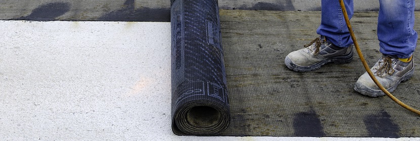 人結直腸癌（CRC）異種移植小鼠模型