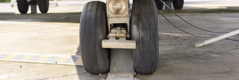 鏈脲佐菌素誘導糖尿病神經病變大鼠