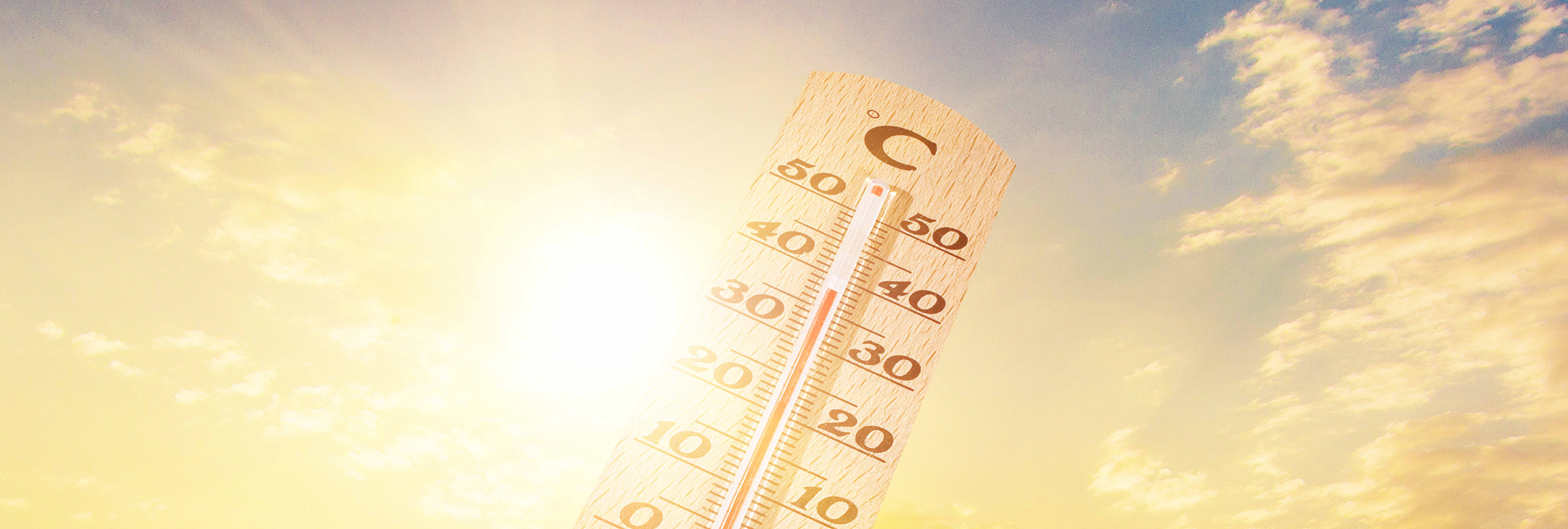 納迪克酸酐檢測(cè)