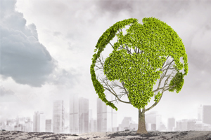 助燃劑檢測(cè)