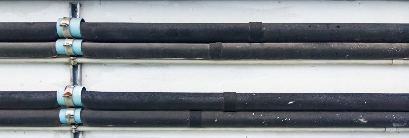 硫酸軟骨素鈉測(cè)試