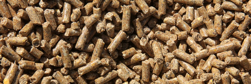 飼料原料檢測(cè)