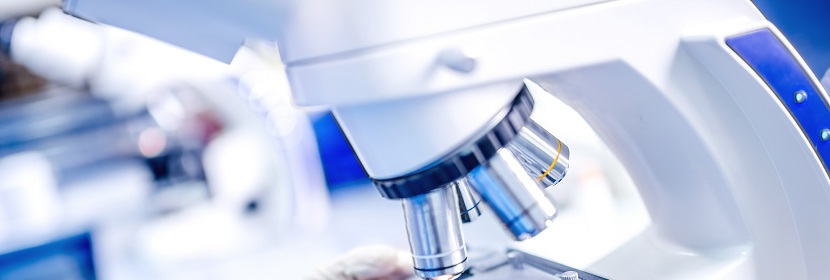 初期干燥抗裂性試驗(yàn)