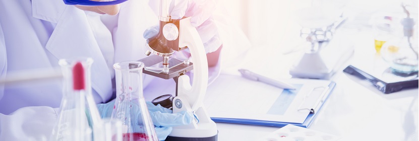 雙側外耳缺失伴發(fā)外耳道閉鎖豬模型