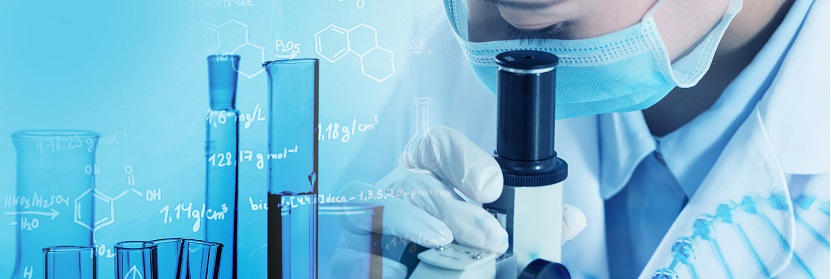 生物質(zhì)棒狀成型炭檢測(cè)