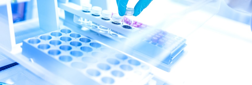 一次性紙制品降解性能評價