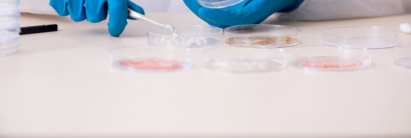 輪胎用聚酯浸膠簾子布檢測(cè)